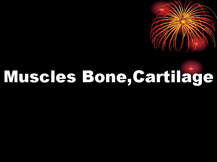 Muscles Bone, Cartilage 