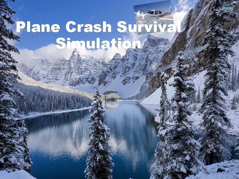 Plane Crash Survival Simulation 