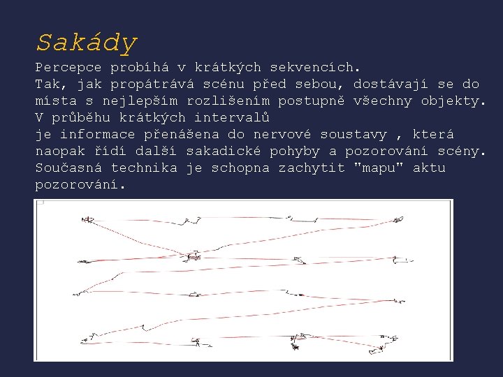 Sakády Percepce probíhá v krátkých sekvencích. Tak, jak propátrává scénu před sebou, dostávají se