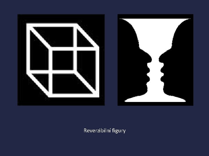 Reverzibilní figury 