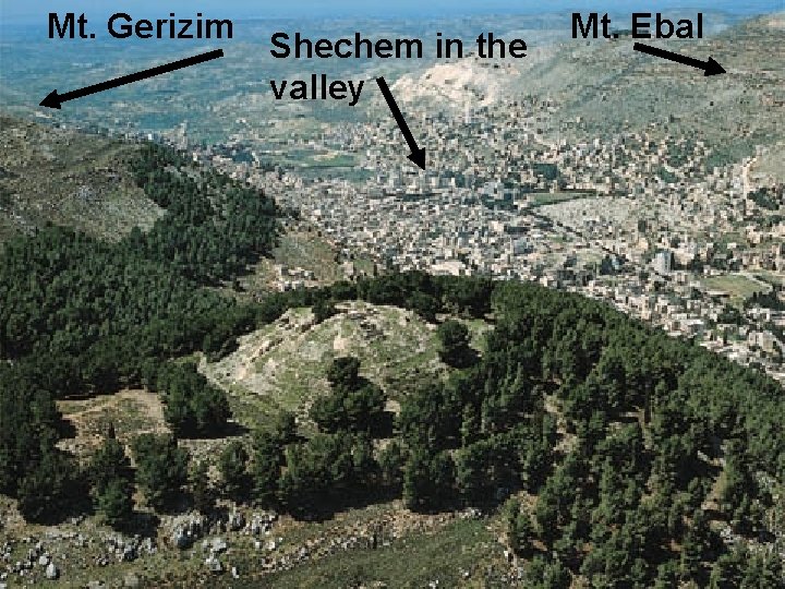 Mt. Gerizim Shechem in the valley Mt. Ebal Mt. Gerizim Shechem in the valley Mt. Ebal