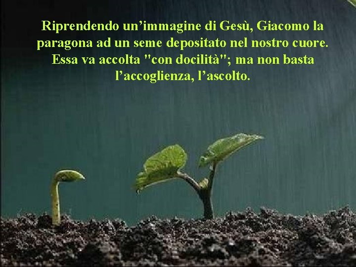 Riprendendo un’immagine di Gesù, Giacomo la paragona ad un seme depositato nel nostro cuore.