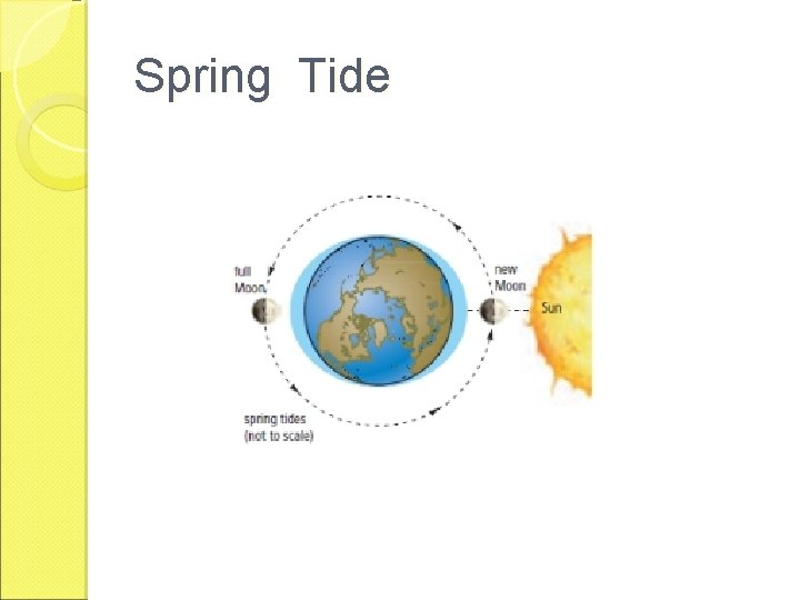 Spring Tide 