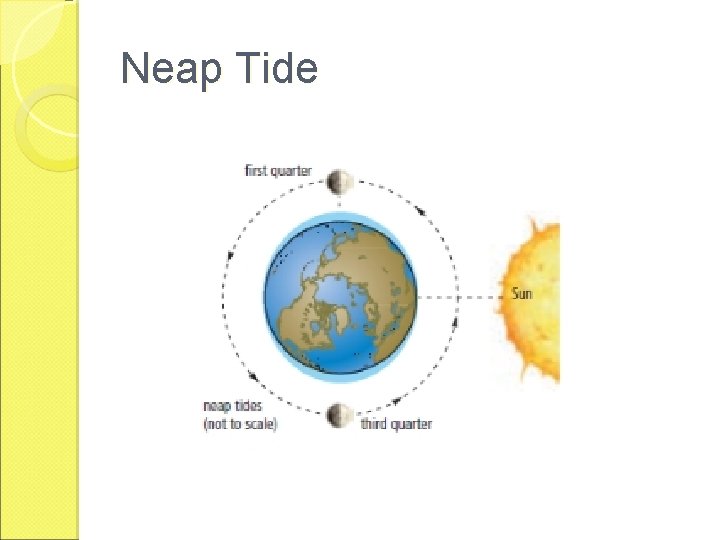 Neap Tide 