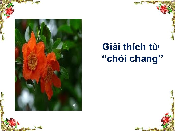 Giải thích từ “chói chang” 