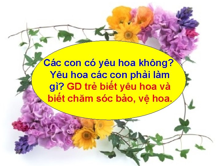 Các con có yêu hoa không? Yêu hoa các con phải làm gì? GD