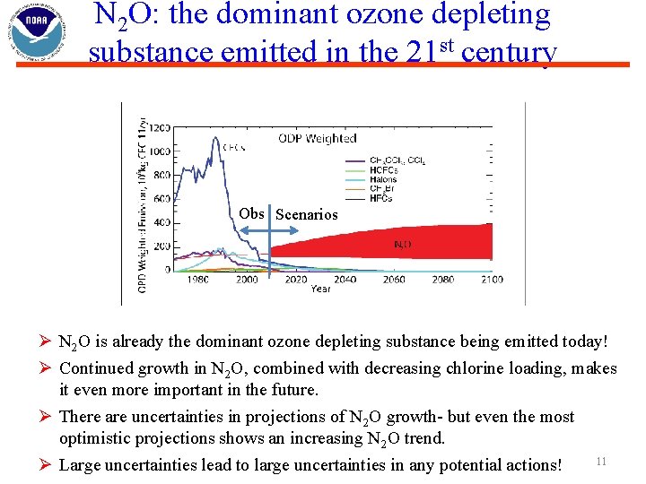 N 2 O: the dominant ozone depleting substance emitted in the 21 st century