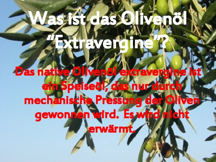 Was ist das Olivenöl “Extravergine”? Das native Olivenöl extravergine ist ein Speiseöl, das nur