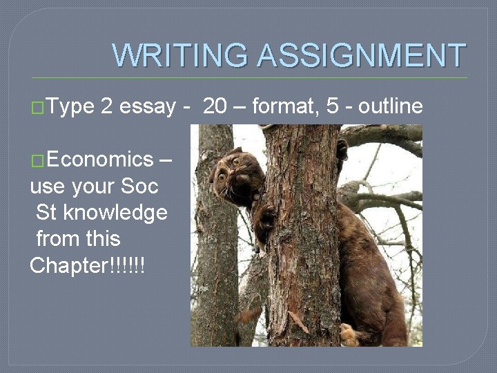 WRITING ASSIGNMENT �Type 2 essay - 20 – format, 5 - outline �Economics –