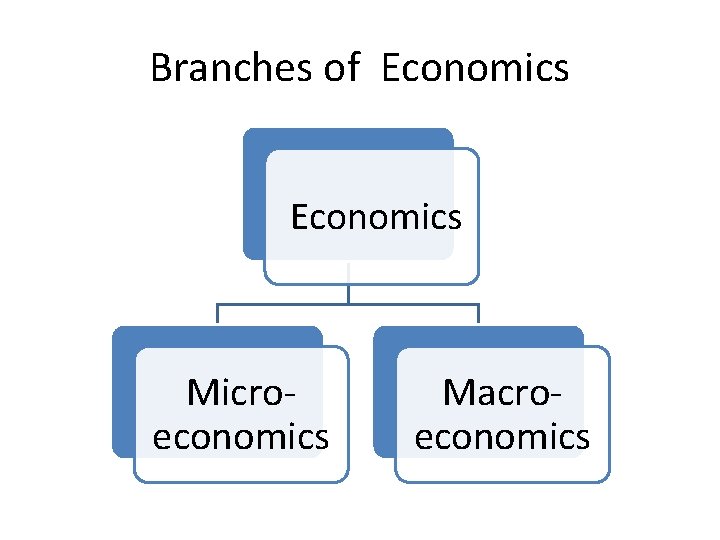 Branches of Economics Microeconomics Macroeconomics 