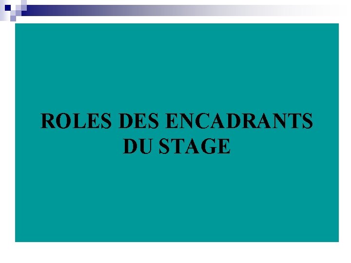 ROLES DES ENCADRANTS DU STAGE 