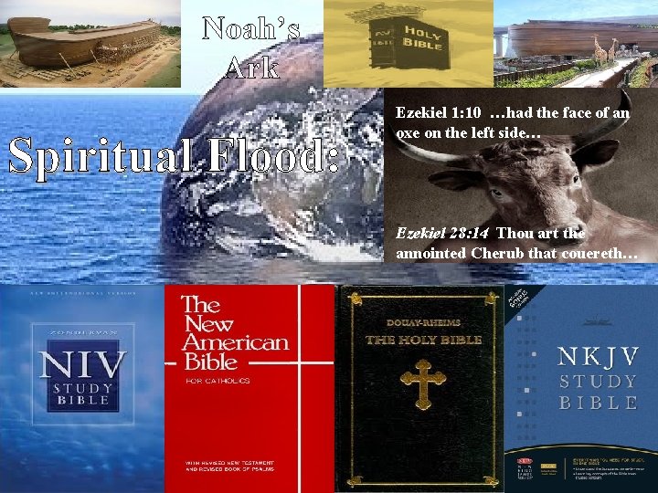 Noah’s Ark Spiritual Flood: Ezekiel 1: 10 …had the face of an oxe on
