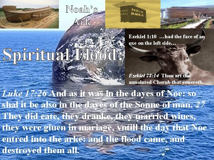 Noah’s Ark Spiritual Flood: Ezekiel 1: 10 …had the face of an oxe on