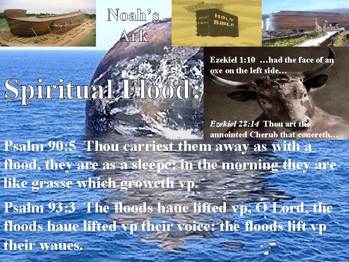 Noah’s Ark Spiritual Flood: Ezekiel 1: 10 …had the face of an oxe on