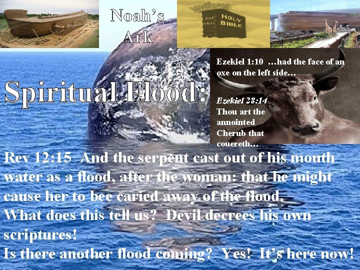 Noah’s Ark Spiritual Flood: Ezekiel 1: 10 …had the face of an oxe on