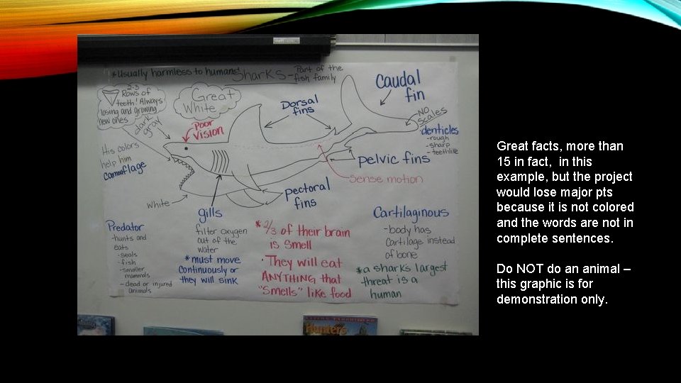 Great facts, more than 15 in fact, in this example, but the project would