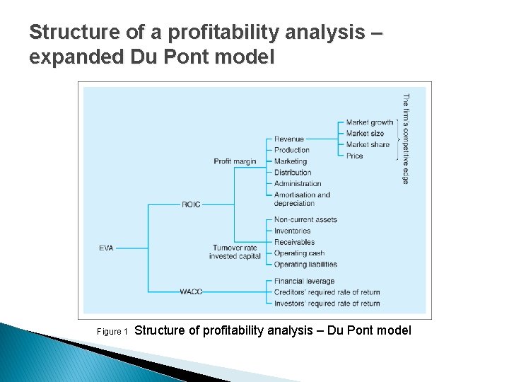Structure of a profitability analysis – expanded Du Pont model Figure 1 Structure of