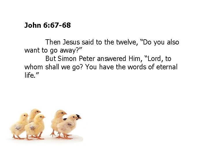 John 6: 67 -68 Then Jesus said to the twelve, “Do you also want