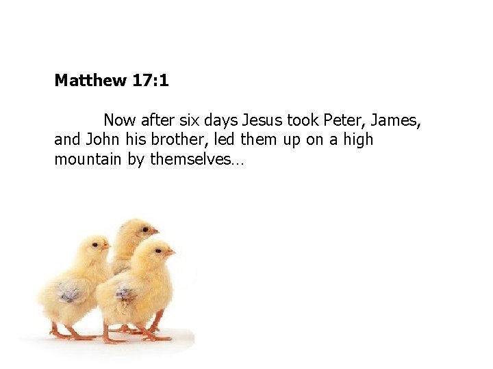 Matthew 17: 1 Now after six days Jesus took Peter, James, and John his