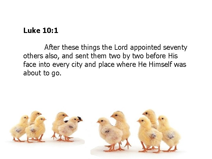 Luke 10: 1 After these things the Lord appointed seventy others also, and sent