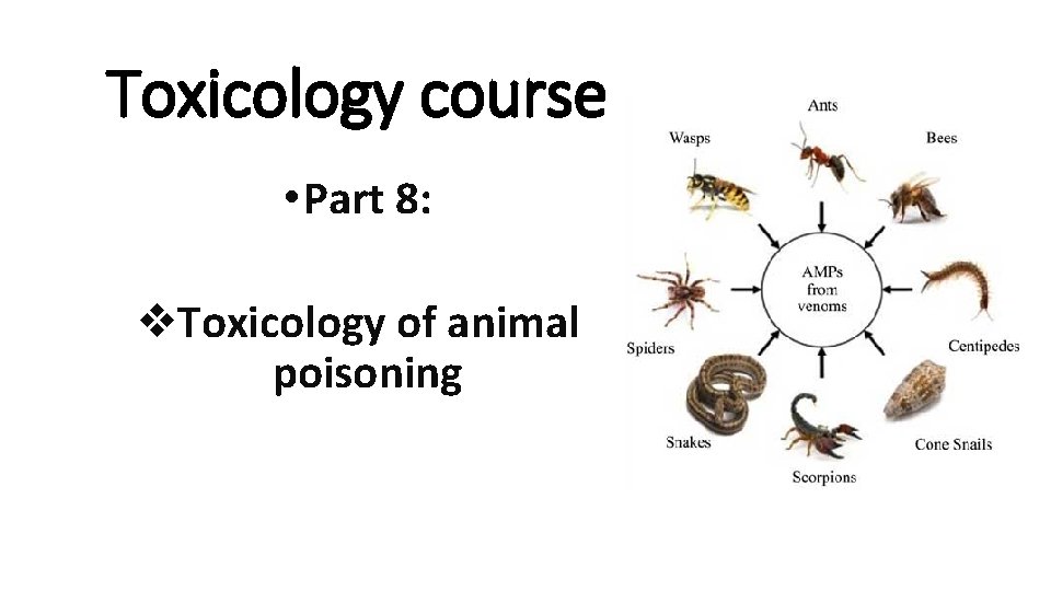 Toxicology course • Part 8: v. Toxicology of animal poisoning 