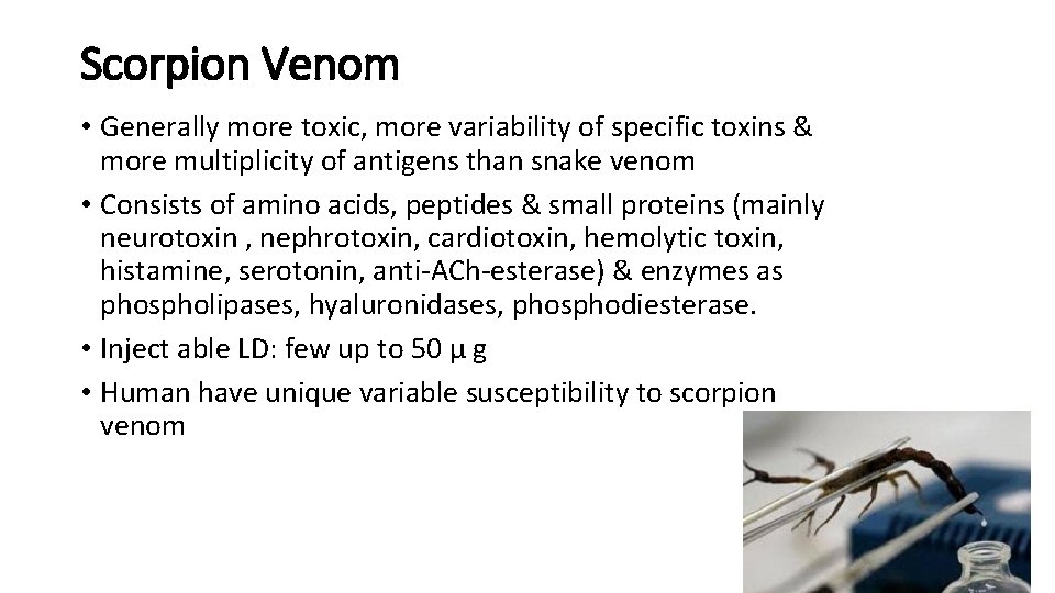 Scorpion Venom • Generally more toxic, more variability of specific toxins & more multiplicity