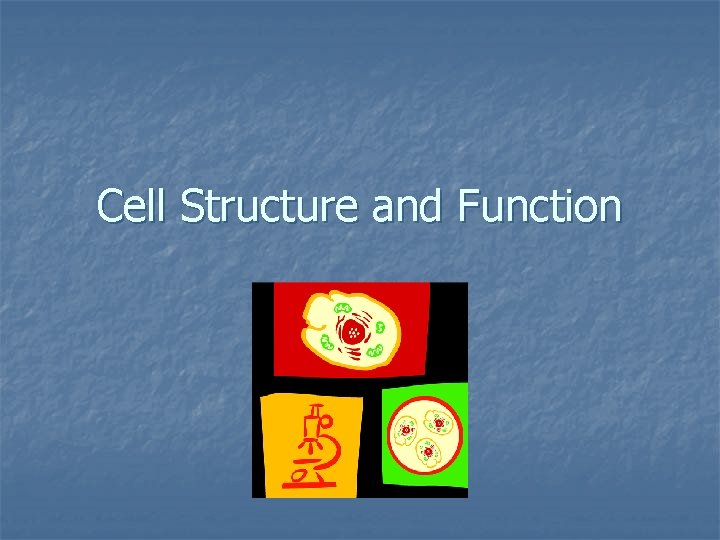 Cell Structure and Function 