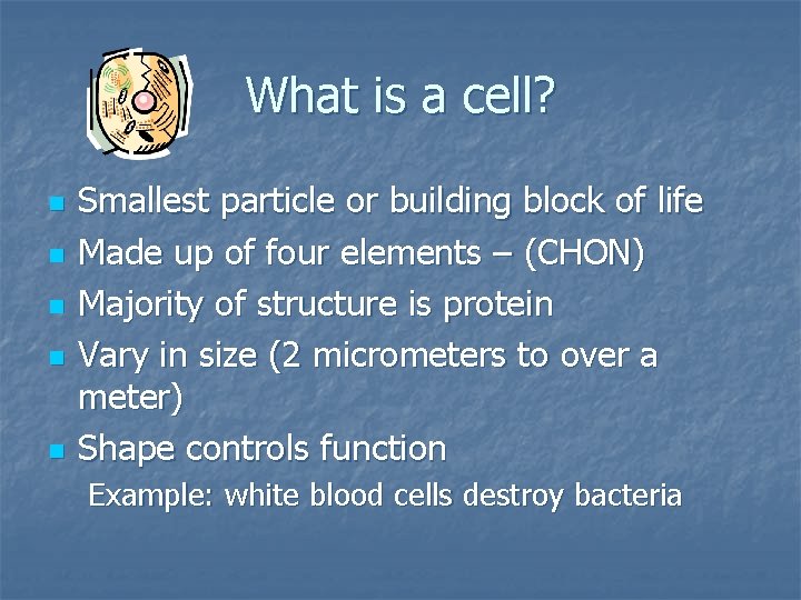 What is a cell? n n n Smallest particle or building block of life