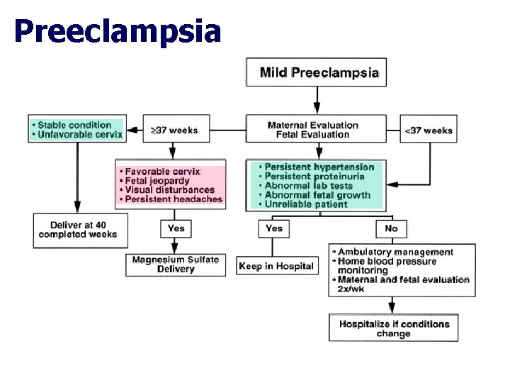 Preeclampsia Preeclampsia