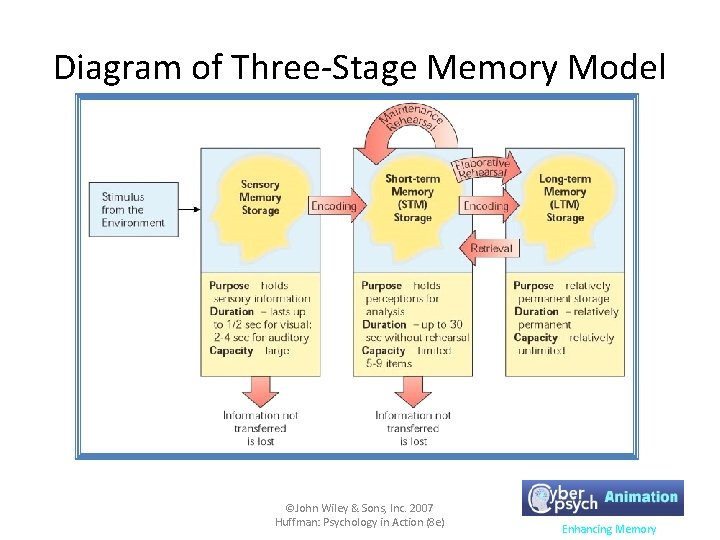 Diagram of Three-Stage Memory Model ©John Wiley & Sons, Inc. 2007 Huffman: Psychology in