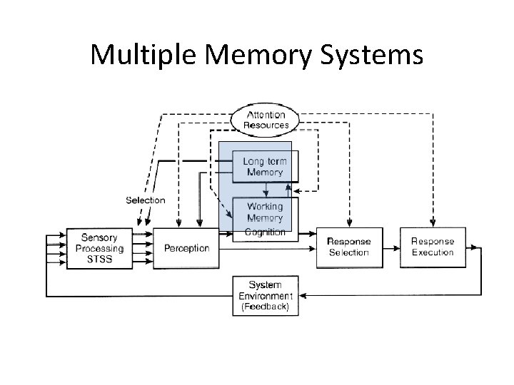 Multiple Memory Systems 