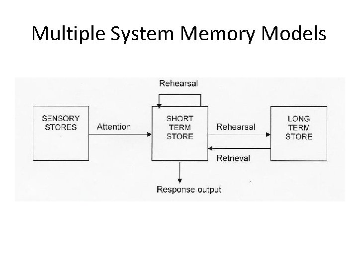 Multiple System Memory Models Proposed by Atkinson & Shiffrin, 1968) 