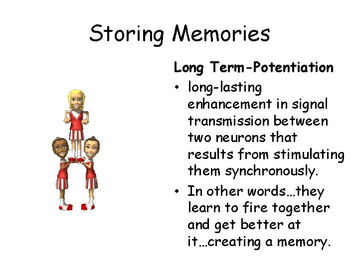 Storing Memories Long Term-Potentiation • long-lasting enhancement in signal transmission between two neurons that
