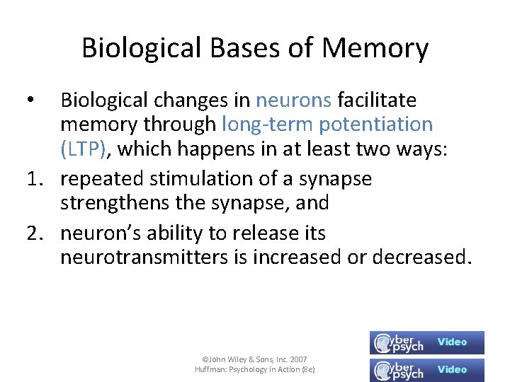 Biological Bases of Memory Biological changes in neurons facilitate memory through long-term potentiation (LTP),