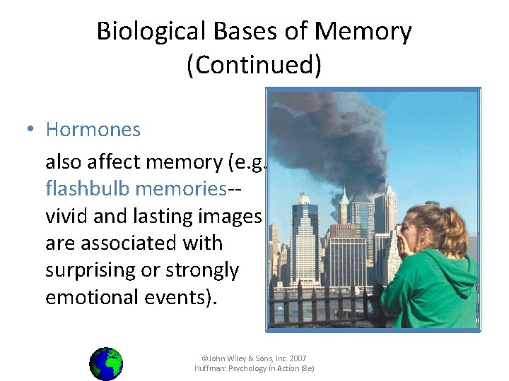 Biological Bases of Memory (Continued) • Hormones also affect memory (e. g. , flashbulb