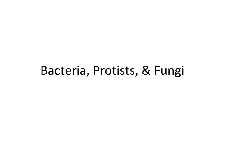 Bacteria, Protists, & Fungi 