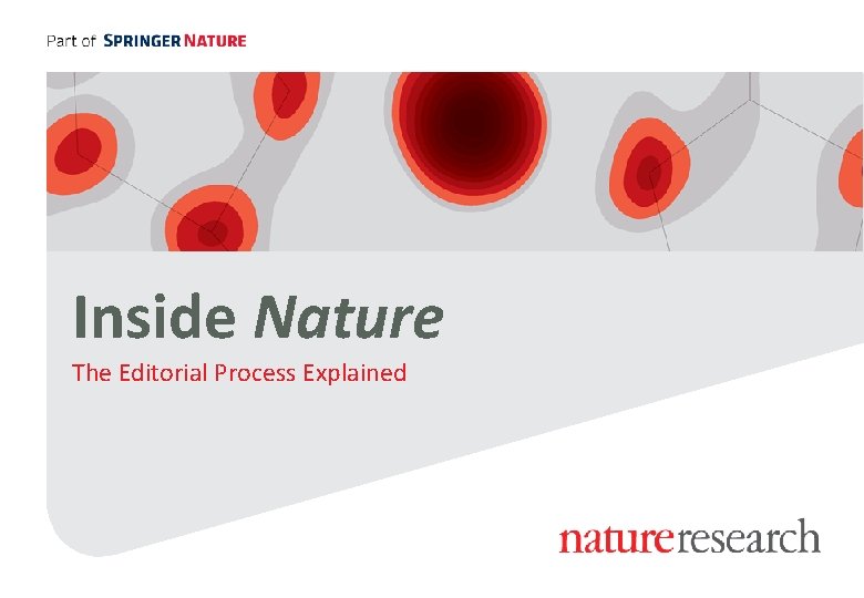 Inside Nature The Editorial Process Explained Inside Nature The Editorial Process Explained