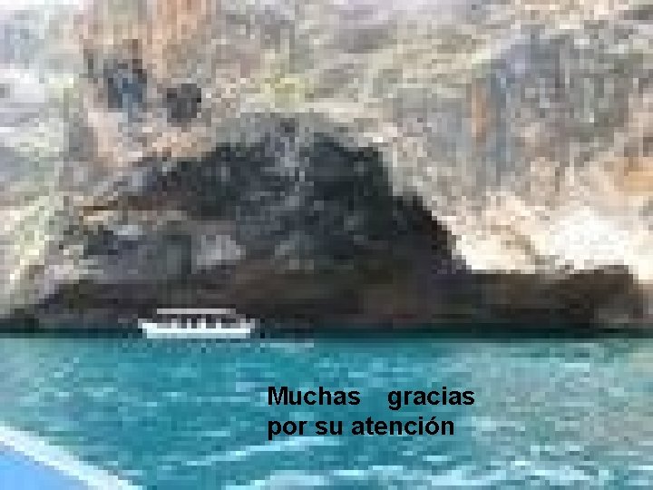 Muchas gracias por su atención 