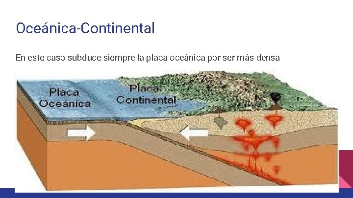 Oceánica-Continental En este caso subduce siempre la placa oceánica por ser más densa 