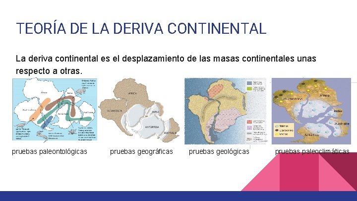 TEORÍA DE LA DERIVA CONTINENTAL La deriva continental es el desplazamiento de las masas