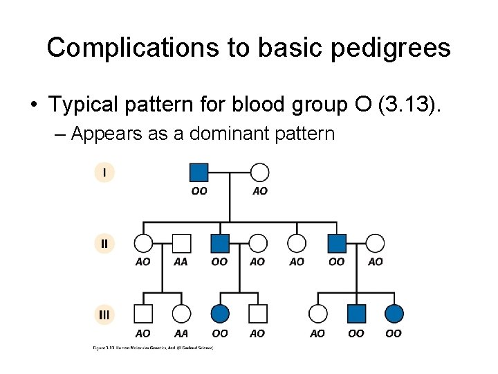 Complications to basic pedigrees • Typical pattern for blood group O (3. 13). – Complications to basic pedigrees • Typical pattern for blood group O (3. 13). –
