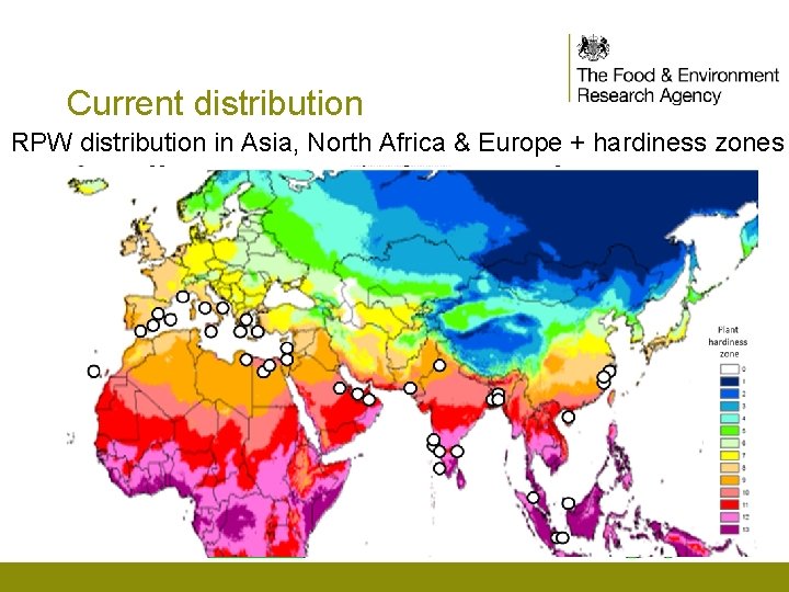 Current distribution RPW distribution in Asia, North Africa & Europe + hardiness zones 