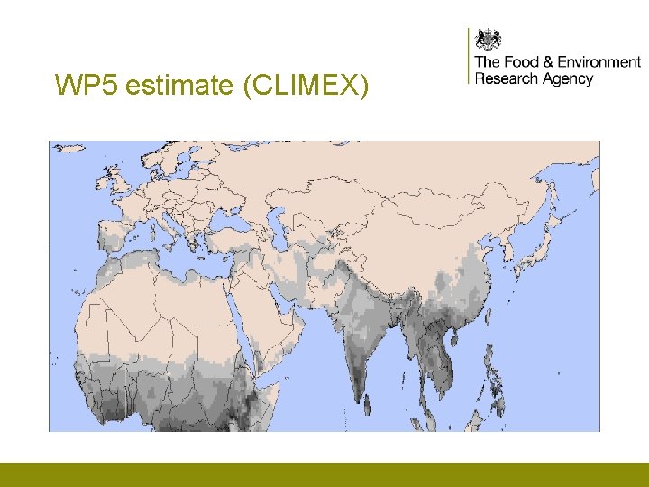 WP 5 estimate (CLIMEX) 