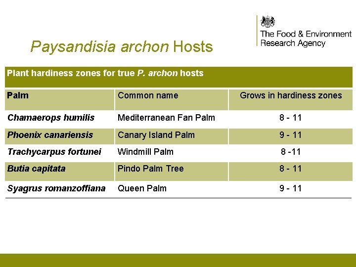 Paysandisia archon Hosts Plant hardiness zones for true P. archon hosts Palm Common name