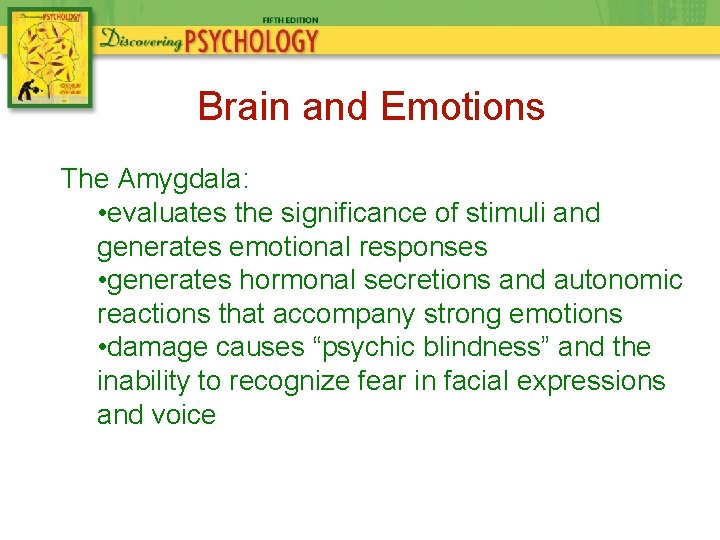 Brain and Emotions The Amygdala: • evaluates the significance of stimuli and generates emotional Brain and Emotions The Amygdala: • evaluates the significance of stimuli and generates emotional