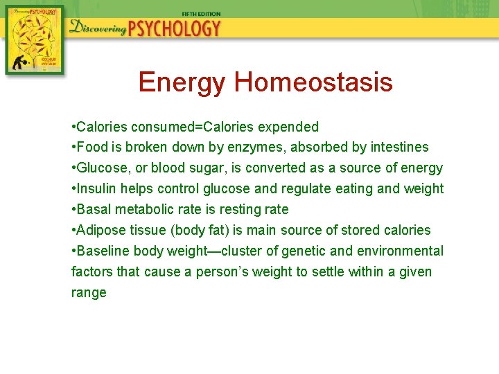 Energy Homeostasis • Calories consumed=Calories expended • Food is broken down by enzymes, absorbed