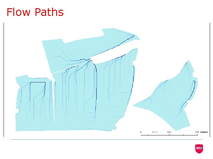 Flow Paths 