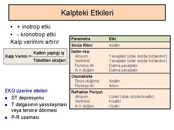 Kalpteki Etkileri • + inotrop etki • - kronotrop etki Kalp verimini artırır Kalp Kalpteki Etkileri • + inotrop etki • - kronotrop etki Kalp verimini artırır Kalp