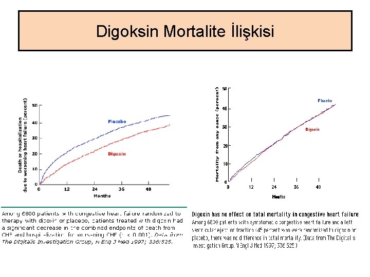 Digoksin Mortalite İlişkisi Digoksin Mortalite İlişkisi