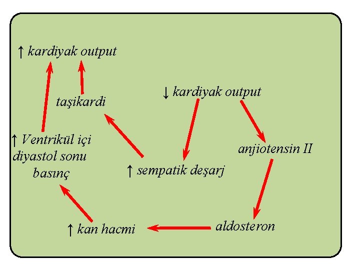 ↑ kardiyak output ↓ kardiyak output taşikardi ↑ Ventrikül içi diyastol sonu basınç anjiotensin